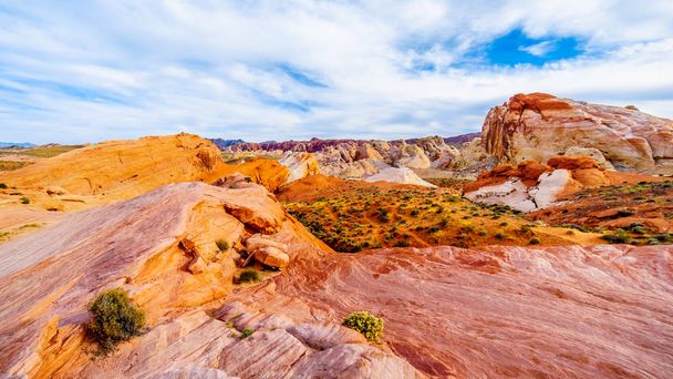 Värikäs punainen, keltainen ja valkoinen hiekkakivi kallioperään pitkin White Dome Trail Valley of Fire State Park Nevada, USA
 - Valokuva, kuva