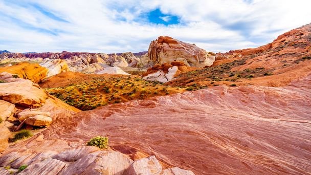 As coloridas formações rochosas de arenito vermelho, amarelo e branco ao longo da trilha da Cúpula Branca no Valley of Fire State Park em Nevada, EUA
 - Foto, Imagem