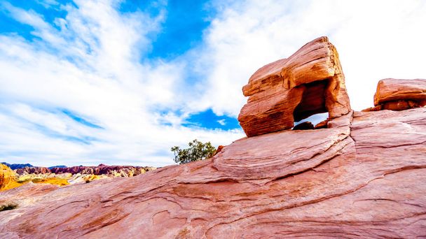 Heldere rode Azteekse zandsteen rotsformatie op de Fire Wave Trail in de Valley of Fire State Park in Nevada, Verenigde Staten - Foto, afbeelding