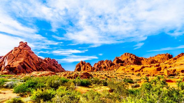 Red Aztec Sandstone Mountains under Blue Sky at the Mouse 's Tank Trail in the Valley of Fire State Park in Nevada, Estados Unidos
 - Foto, Imagen