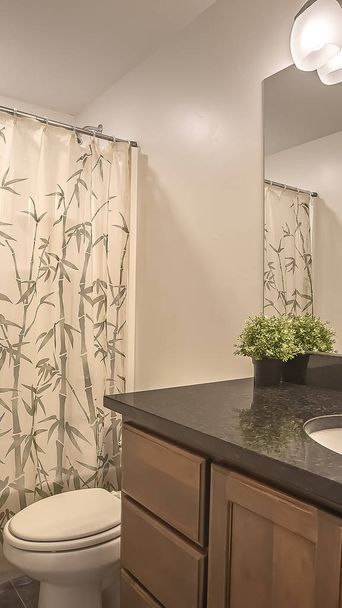 Vertikální záchod a marnivost uvnitř koupelny domova s bílou zdí - Fotografie, Obrázek