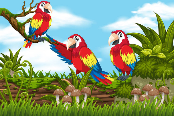 Попугаи в джунглях
 - Вектор,изображение