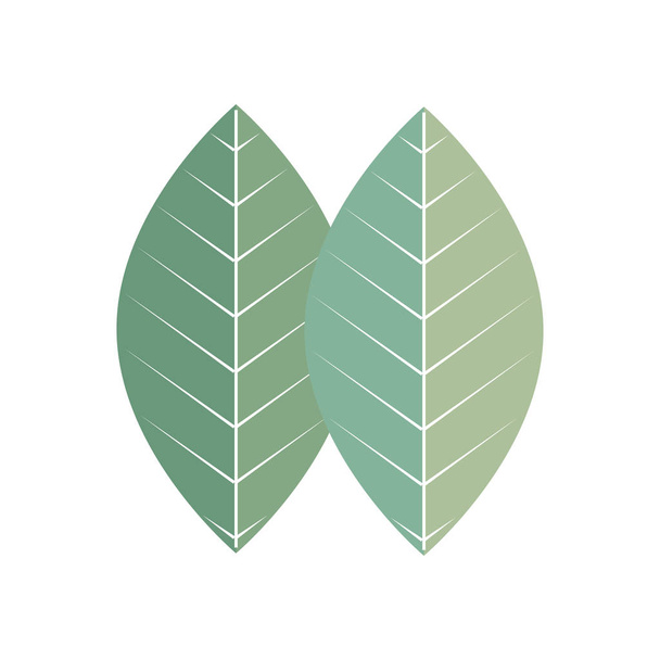 Yaprak bitkisi ekolojisi ikonu izole - Vektör, Görsel