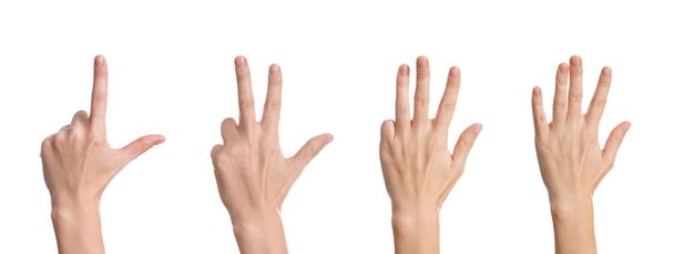 Frauensatz mit Zahlen auf weißem Hintergrund, Nahaufnahme der Hände  - Foto, Bild