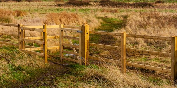 Kissing gate open field - Photo, Image