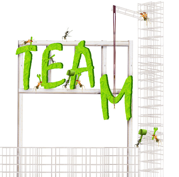 Ants team - Photo, Image
