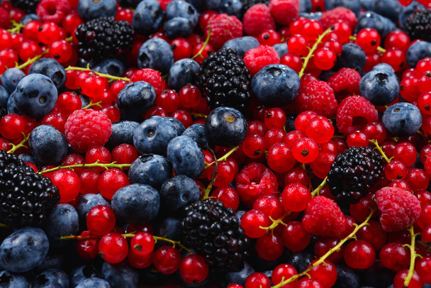 Blackberry, frambuesa, arándano, grosella roja y menta backgrou
 - Foto, imagen