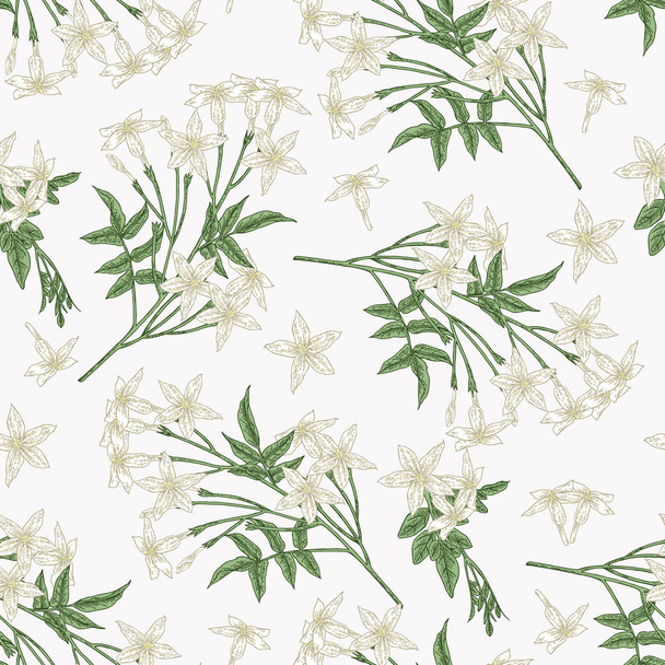 Fehér Jasmine varrat nélküli mintázat. Jasminum officinale virágok és levelek. Nyári növények kézzel rajzolt. Vektor botanikai illusztráció. - Vektor, kép