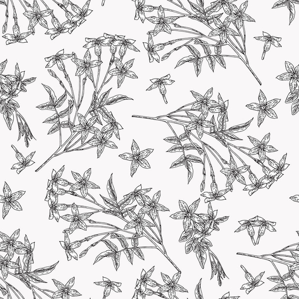 ホワイトジャスミンシームレスパターン。ジャスミン・オフィシナーレの花と葉。夏の植物手描き。ベクトルボタニカルイラスト。白黒グラフィック. - ベクター画像