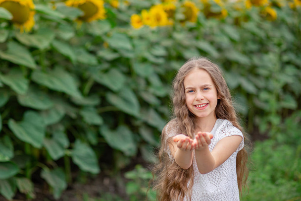 Gyönyörű portréja egy lány hosszú haja a háttérben egy mező napraforgót. - Fotó, kép