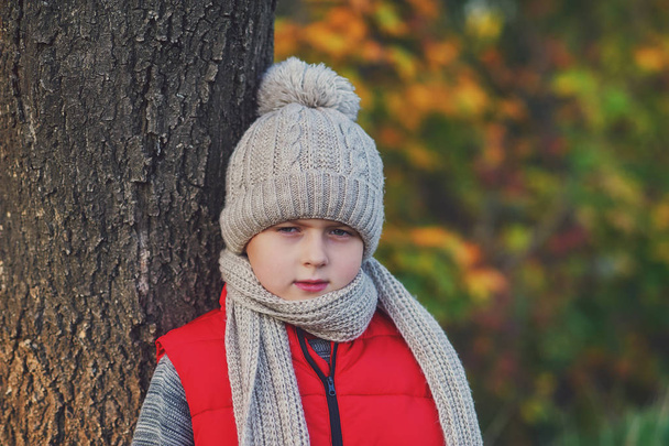 Portrait d'un garçon en bonnet tricoté chaud.Enfant en promenade dans le parc en automne
 - Photo, image