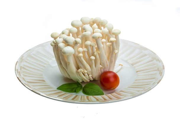 Японский гриб
 - Фото, изображение