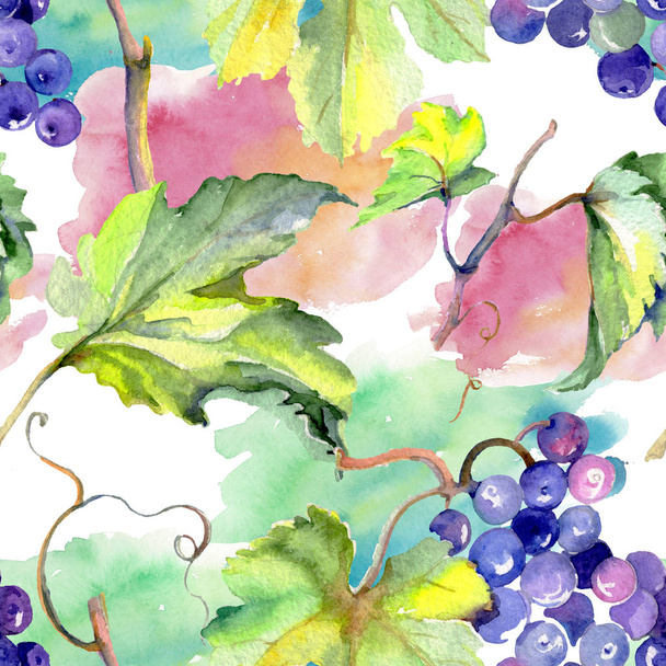 Grape berry healthy food in a watercolor style. Watercolor background set. Seamless background pattern. - Zdjęcie, obraz