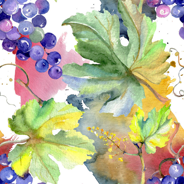 Fruits de raisin aliments sains dans un style aquarelle. Ensemble de fond aquarelle. Modèle de fond sans couture
. - Photo, image