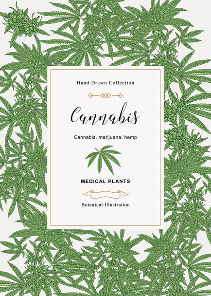 Cannabis background. Marijuana pant hand drawn. Medical plants hand drawn. Vector botanical illustration. - Vector, Image