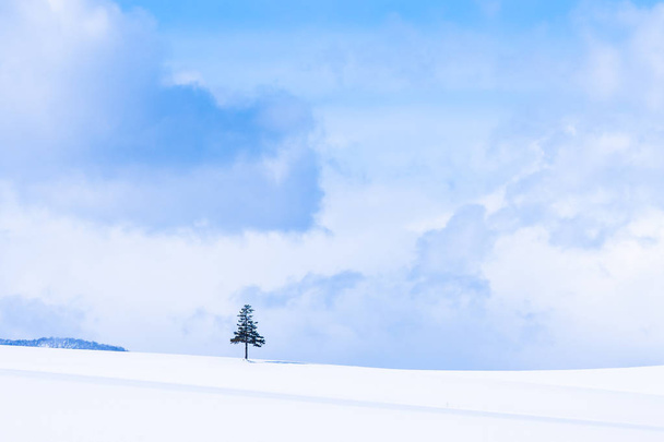 Красивий відкритий ландшафт природи з ялинкою взимку
 - Фото, зображення