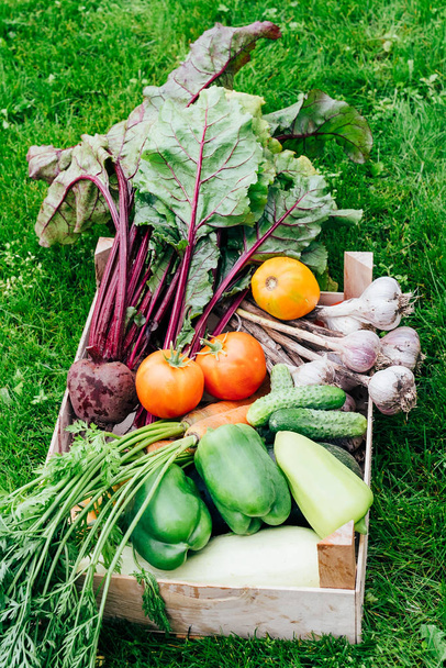 овочі з органічного саду
 - Фото, зображення