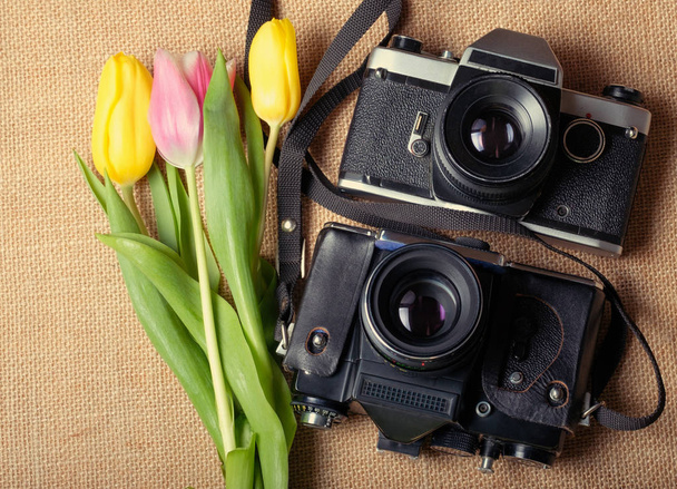 tulipas e duas câmeras no pano
 - Foto, Imagem