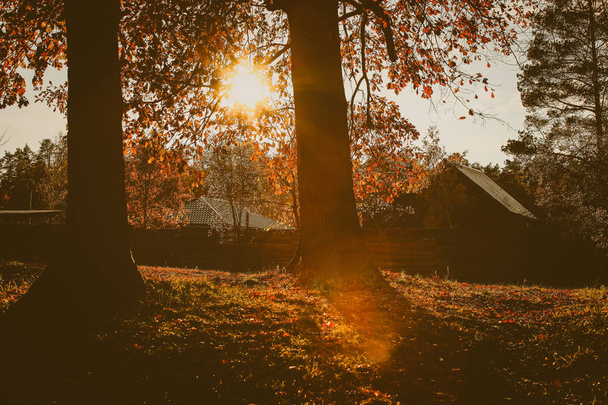 mooi herfst landschap met vallende bladeren - Foto, afbeelding
