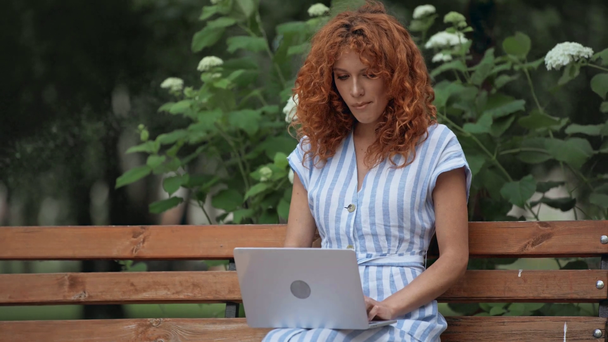 ευτυχισμένος κοκκινομάλλα κορίτσι χρησιμοποιώντας το laptop στο πάρκο  - Πλάνα, βίντεο