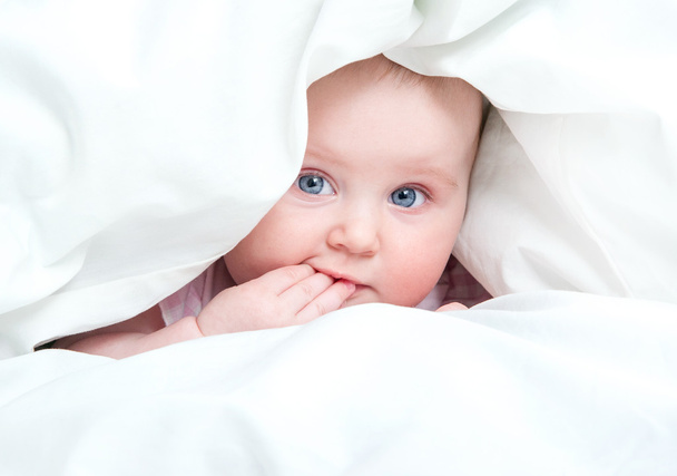 cute baby under a blanket - Фото, зображення