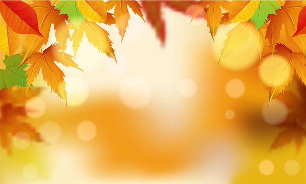 Otoño colorido hojas decoración banner o diseño de póster con b
 - Vector, Imagen