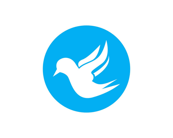 Bird logo vector. Flying Bird Logo design vector template. Dove Pigeon Logotype concept icon - Vetor, Imagem