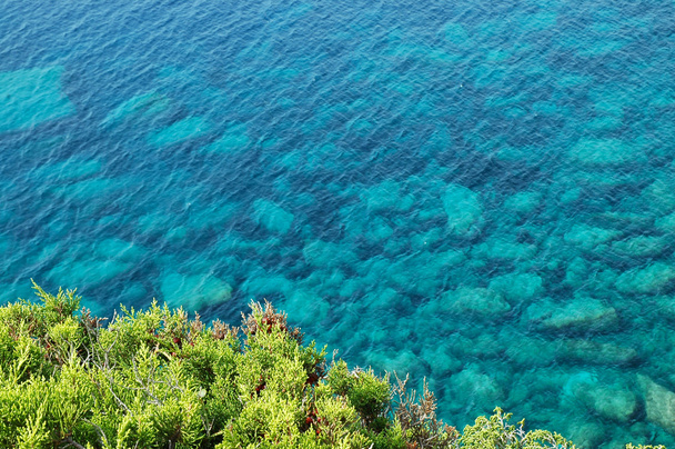 Belle eau de mer claire et turquoise, idéale pour le fond
 - Photo, image