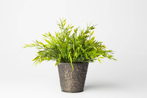 Green bush in a copper pot as a houseplant. - Zdjęcie, obraz