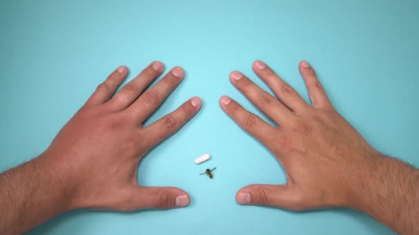 Männliche Hand von Biene gestochen und Medikamente gegen Schwellungen daneben. Schwellungen der Hand, Entzündungen, Rötungen sind Anzeichen einer Infektion. Insektenstiche und Pillen auf blauem Hintergrund - Filmmaterial, Video