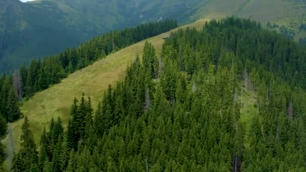 Survoler la forêt dans les montagnes en été
 - Séquence, vidéo