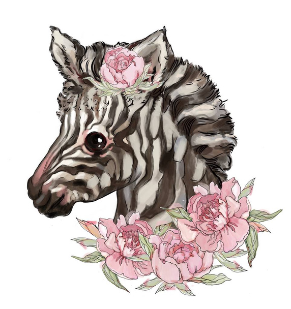 lovely animal, beautiful zebra in pink peonies. illustration for personal design, cards, clothes. best t-shirt prints. cut animal  - 写真・画像