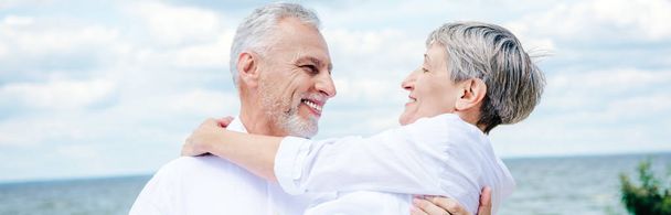 panoramic view of smiling senior man lifting wife under blue sky - Photo, image