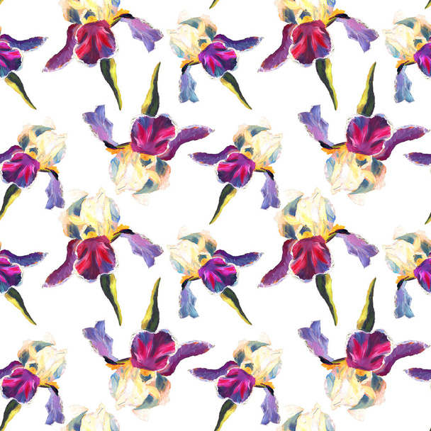 Floral seamless pattern with oil painted irises on white background - Foto, Bild