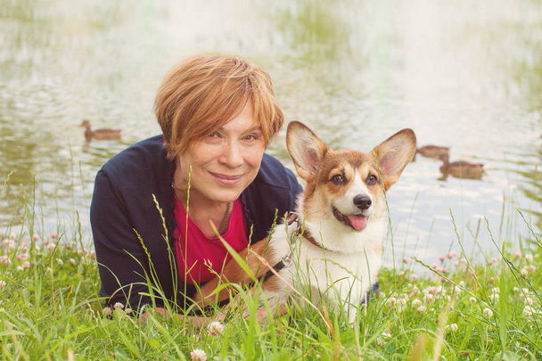 草の中で年配の女性と座っているコーギー犬 - 写真・画像