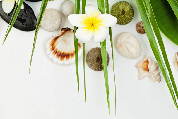 Wellness-Konzept auf weißem Hintergrund, Palmenblättern, tropischer Blume - Foto, Bild