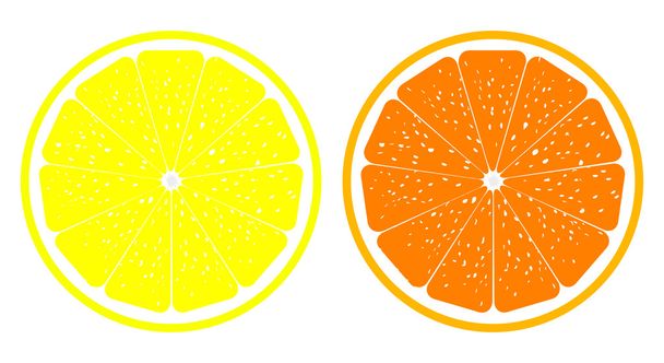 Orange and lemon - Vector, Image