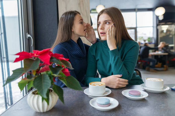 Two young beautiful women secretly sitting at a table in a coffee shop, girls whisper a secret in their ear - Фото, зображення