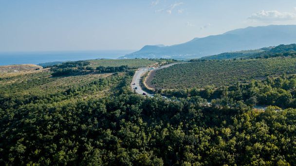 Crimea trip: view from above of curvy mountain road - Foto, Bild