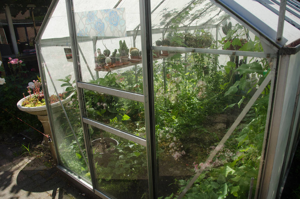Üvegházak üvegházak üveg palánták a virágok és növények jellegét a zöld növényzet növények ültetésre - Fotó, kép
