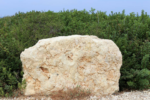 石はイスラエルの州の北の地中海の海岸の公園に横たわっている  - 写真・画像