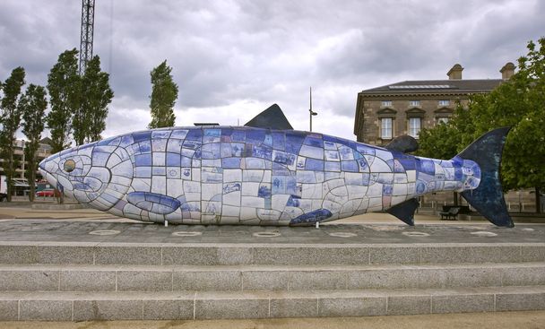 El pez gordo en Belfast - Foto, imagen