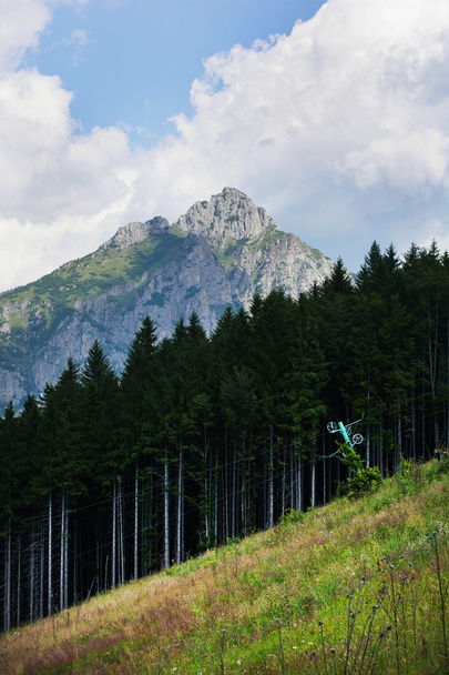 Régi sífelvonó és az előtérben és a nagy Rozsutec (Velk erdő - Fotó, kép