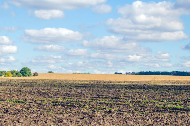 Agriculture plowed field and blue sky with clouds - 写真・画像