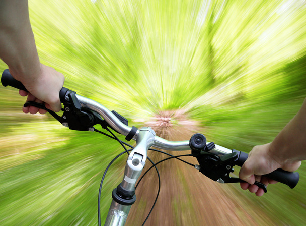 Гірський велосипед у лісі
 - Фото, зображення