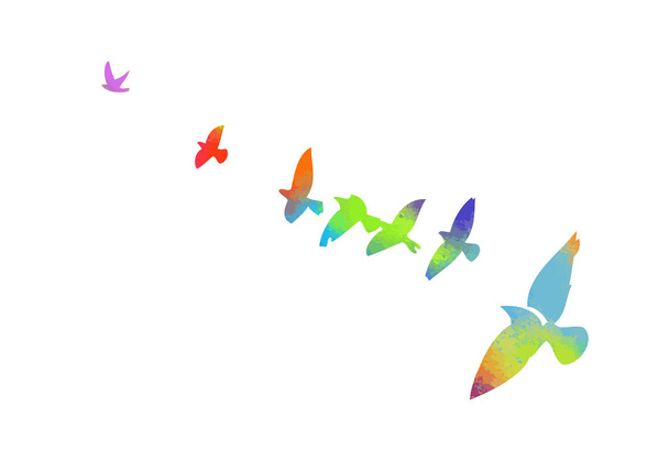 Aves multicolores. Una bandada de aves voladoras del arco iris. Ilustración vectorial
 - Vector, imagen