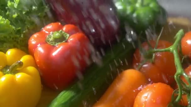 Frisches Gemüse auf dunklem Hintergrund im Atelier unter strömendem Regen. Herbsterntekonzept - Filmmaterial, Video