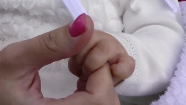 The child's hand in the mother's. Motherhood and family in the moment. - Video