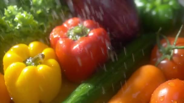 Свіжі овочі на темному тлі в студії під струменем дощу. концепція осіннього врожаю
 - Кадри, відео
