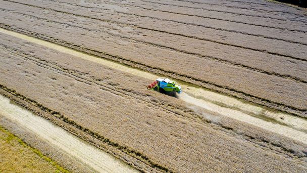 Combine Harvester corte de trigo, paisagem de verão de campos infinitos sob o céu azul com nuvens
 - Foto, Imagem
